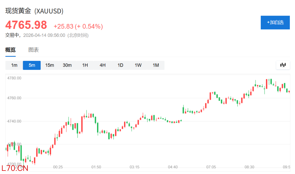 风险提示及免责条款