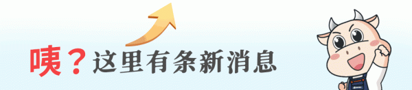拆旧物资24小时落地无痕，宝武环科传“捷”报