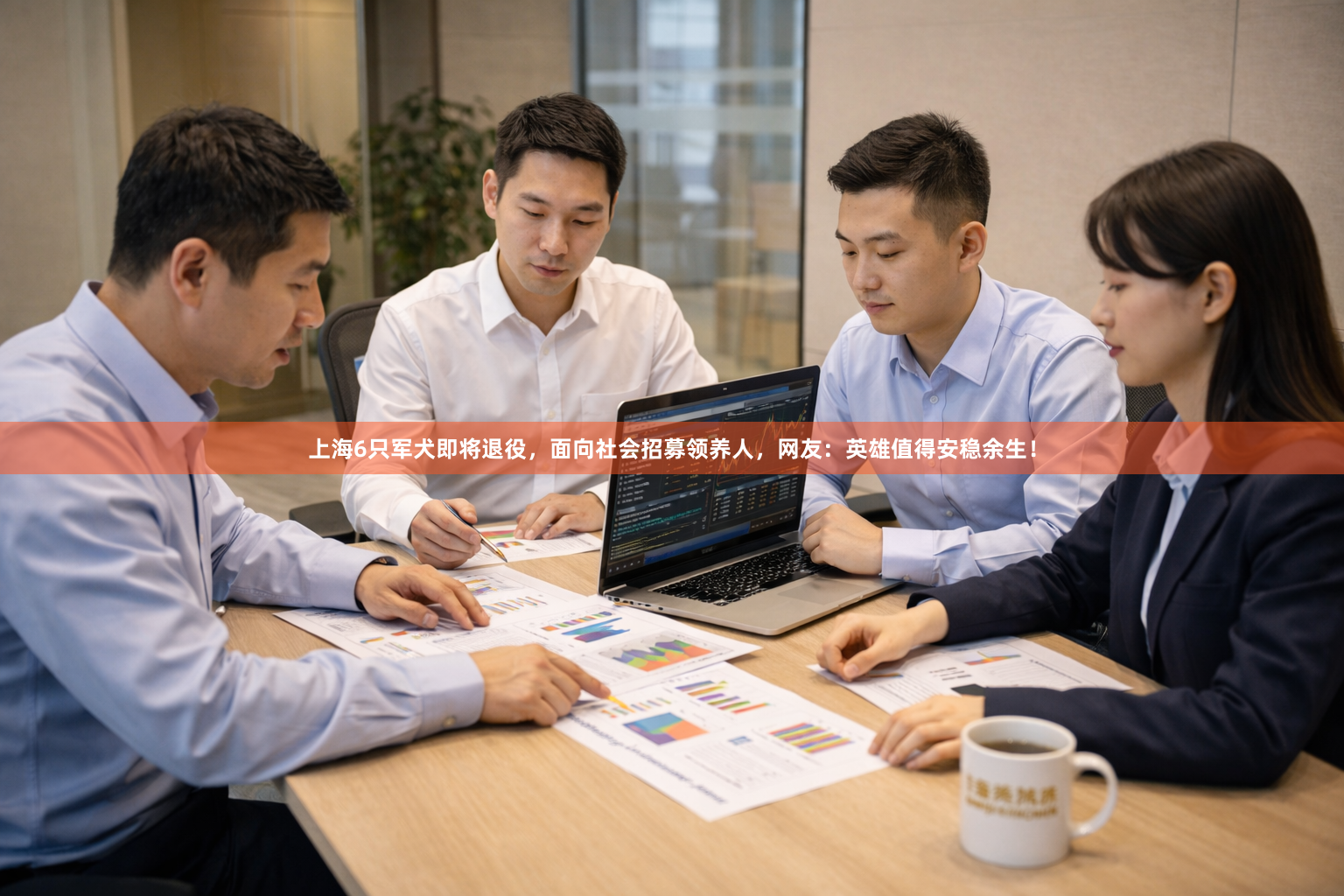 上海6只军犬即将退役，面向社会招募领养人，网友：英雄值得安稳余生！