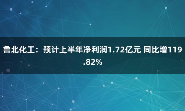 鲁北化工:预计上半年净利润1.72亿元 同比增119.82%