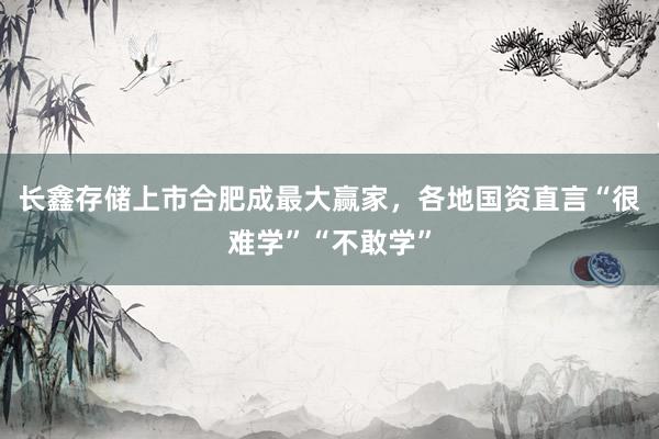 长鑫存储上市合肥成最大赢家，各地国资直言“很难学”“不敢学”