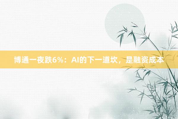 博通一夜跌6%：AI的下一道坎，是融资成本