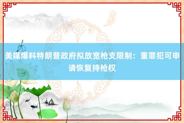 美媒爆料特朗普政府拟放宽枪支限制：重罪犯可申请恢复持枪权