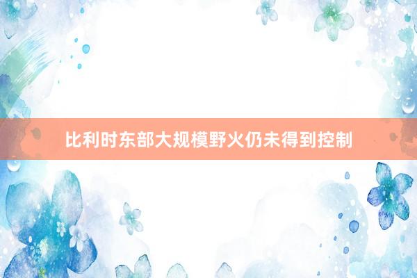 比利时东部大规模野火仍未得到控制