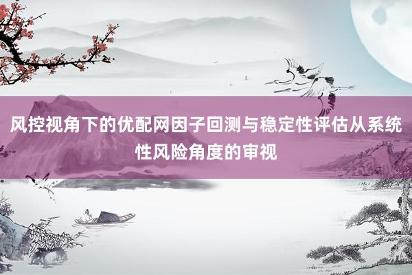 风控视角下的优配网因子回测与稳定性评估从系统性风险角度的审视