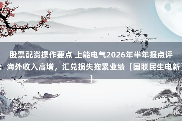 股票配资操作要点 上能电气2026年半年报点评：海外收入高增，汇兑损失拖累业绩【国联民生电新】