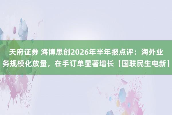 天府证券 海博思创2026年半年报点评：海外业务规模化放量，在手订单显著增长【国联民生电新】
