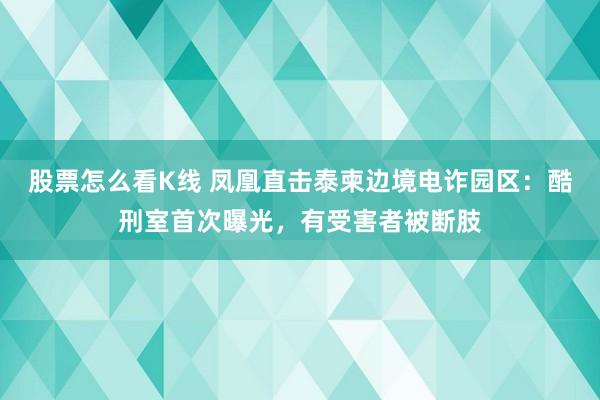 股票怎么看K线 凤凰直击泰柬边境电诈园区：酷刑室首次曝光，有受害者被断肢