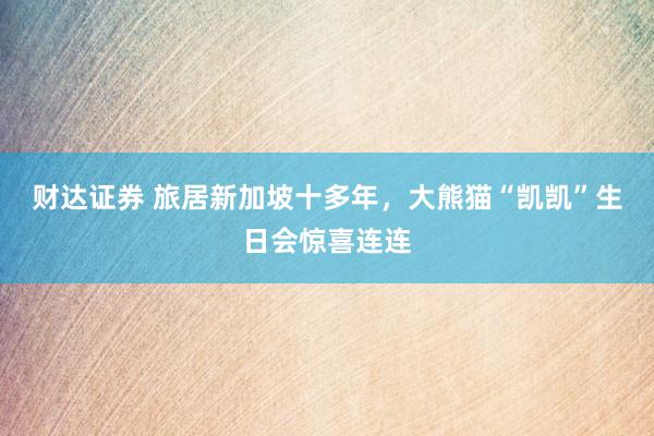 财达证券 旅居新加坡十多年，大熊猫“凯凯”生日会惊喜连连