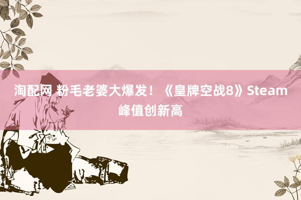 淘配网 粉毛老婆大爆发！《皇牌空战8》Steam峰值创新高