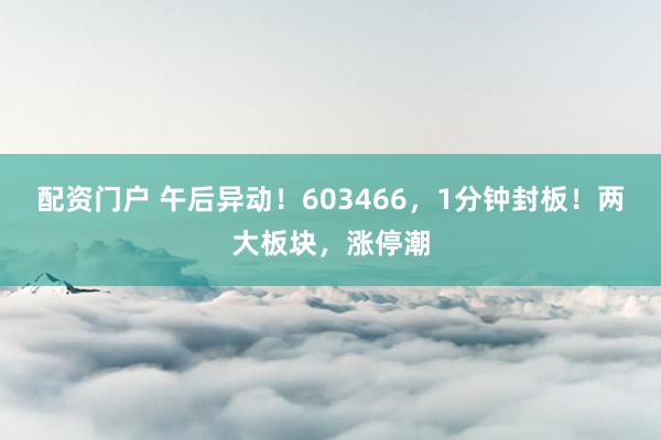 配资门户 午后异动！603466，1分钟封板！两大板块，涨停潮