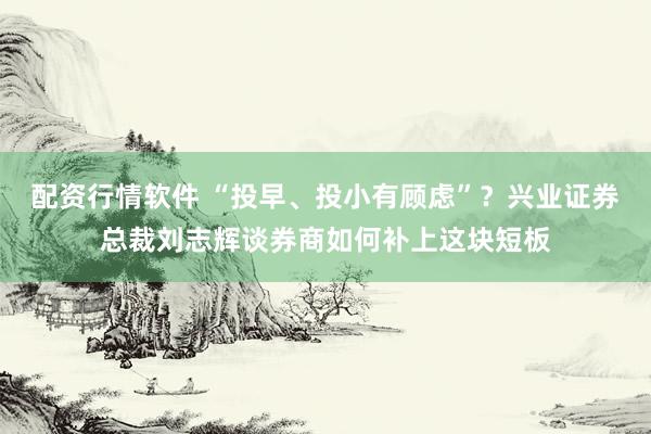 配资行情软件 “投早、投小有顾虑”？兴业证券总裁刘志辉谈券商如何补上这块短板